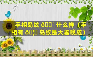 手相岛纹 🌴 什么样（手相有 🦊 岛纹是大器晚成）